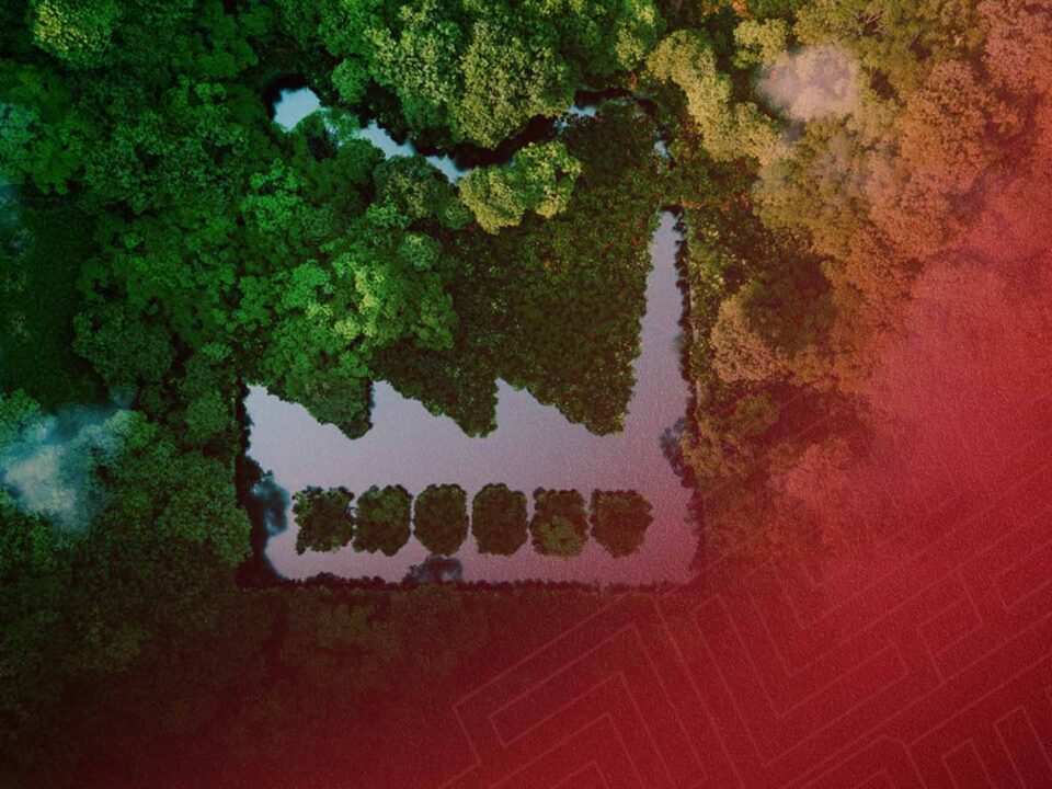 semana mundial do meio ambiente