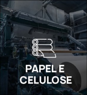Papel e Celulose